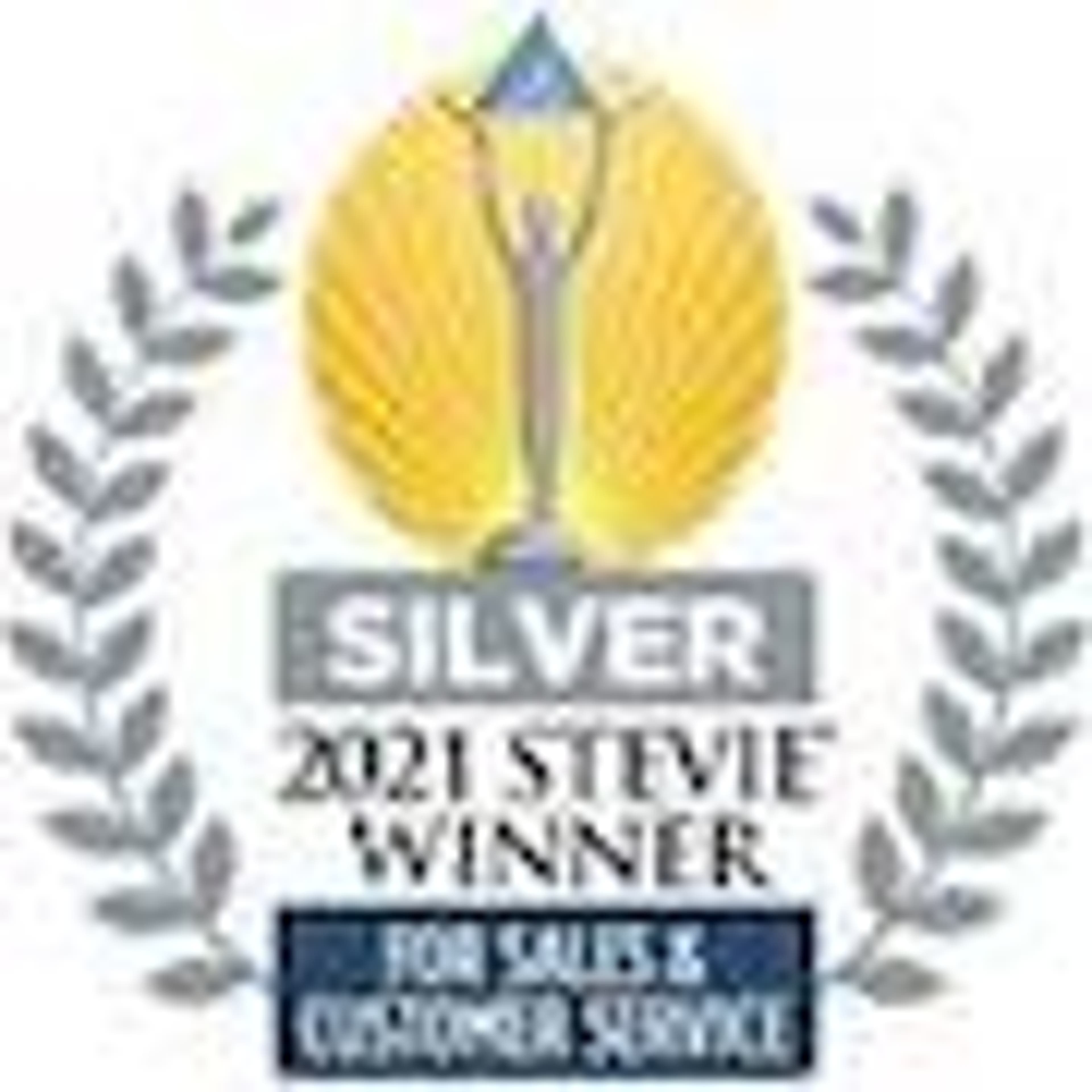 2021 Silver Stevie Award