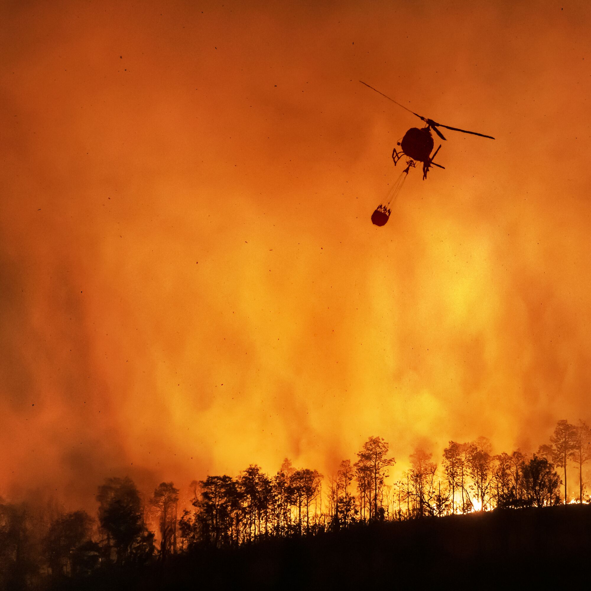 AdobeStock_373199454_1x1