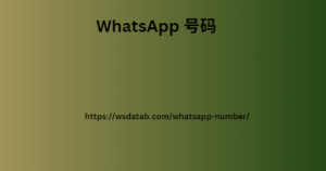 WhatsApp 号码