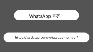 WhatsApp 号码